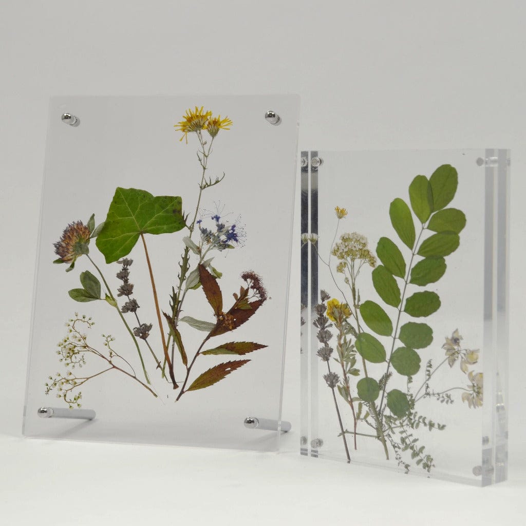 EHDesign Bidlerrahmen Bilderrahmen aus Acrylglas mit Magnetverschluss